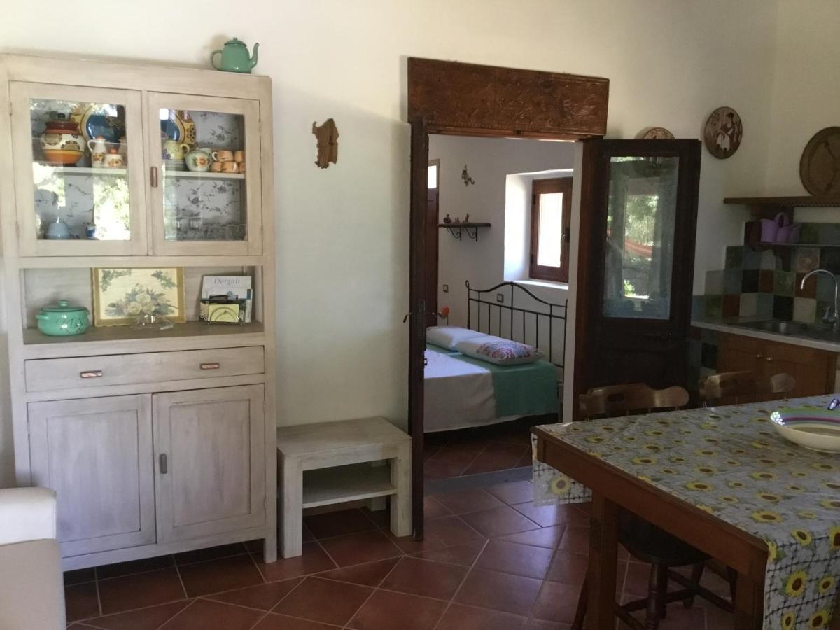 Su Saucu Villa Dorgali Exterior foto